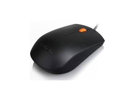 Mouse óptico Lenovo 300 USB Alámbrico